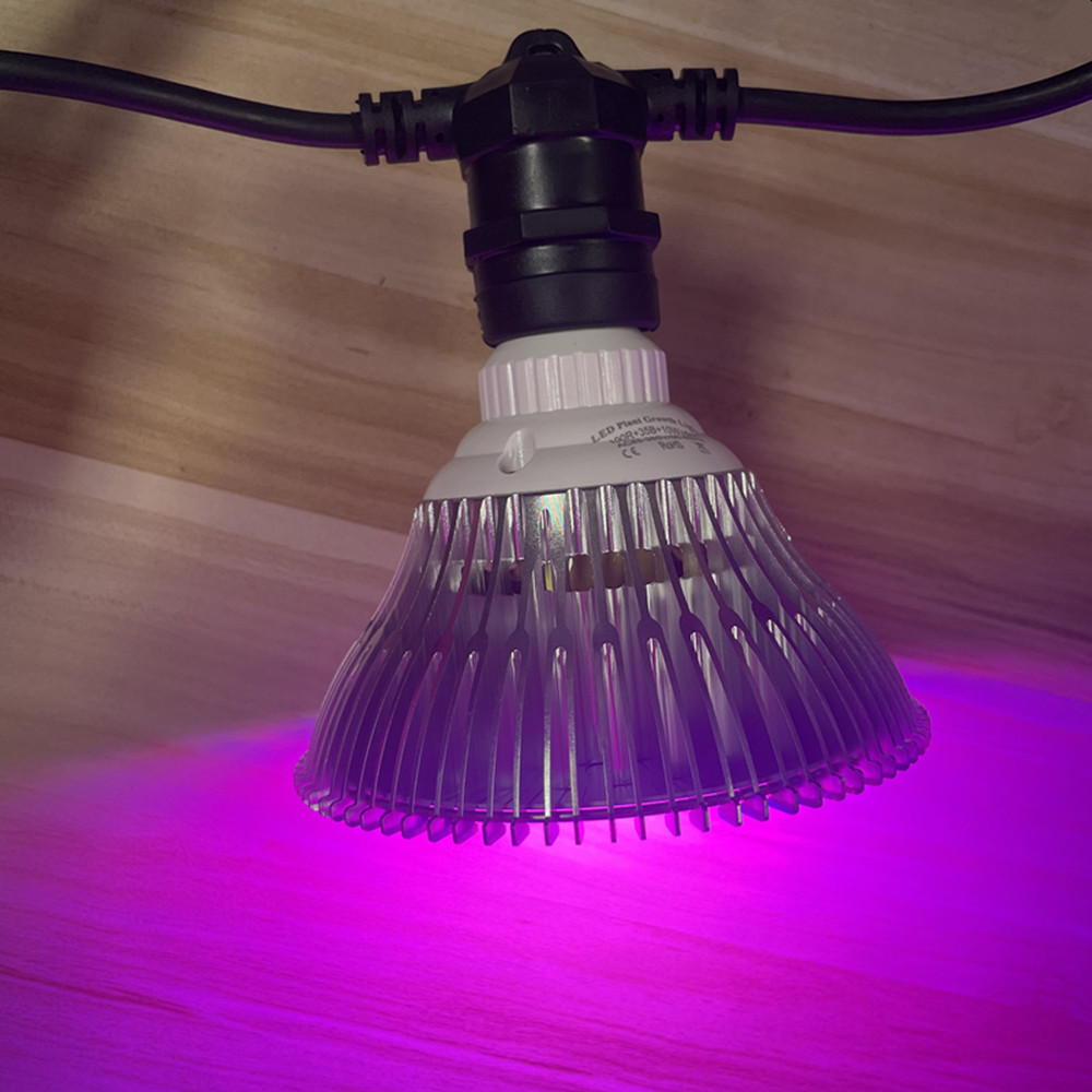 10M Cable LED String Commercia - Outdoor Power Socket บทวิจารณ์และราคา